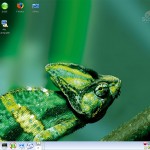 suse10.0_default_desktop